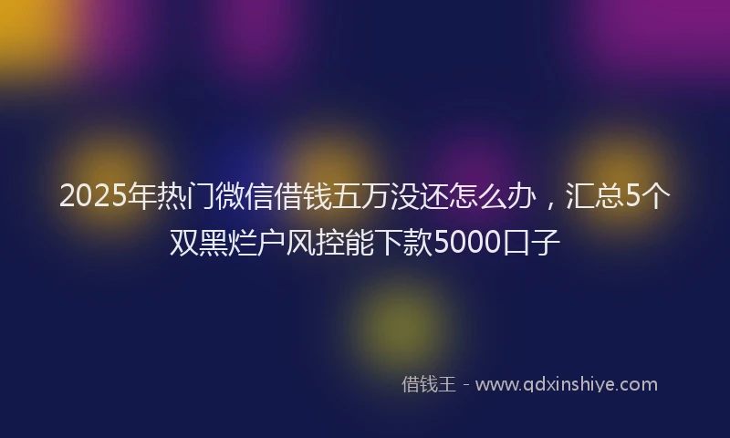 2025年热门微信借钱五万没还怎么办，汇总5个双黑烂户风控能下款5000口子