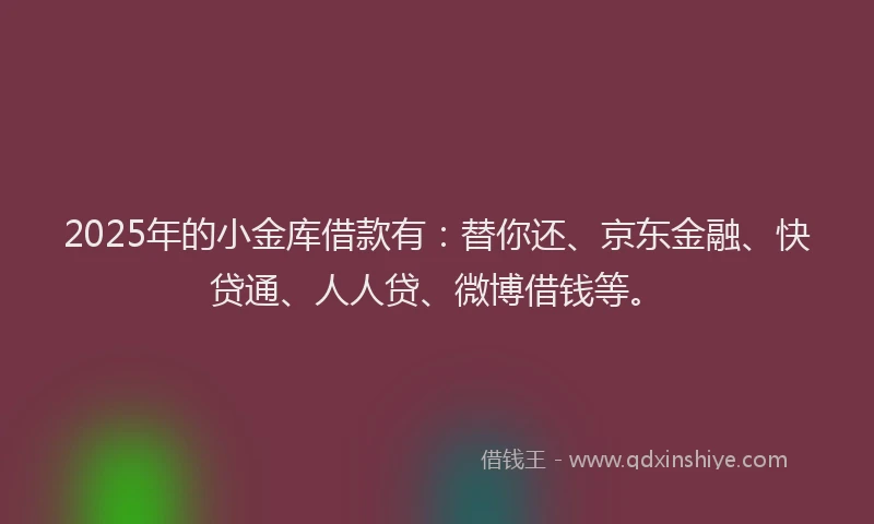 2025年的小金库借款有：替你还、京东金融、快贷通、人人贷、微博借钱等。