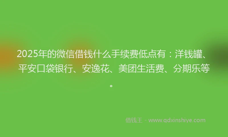 2025年的微信借钱什么手续费低点有：洋钱罐、平安口袋银行、安逸花、美团生活费、分期乐等。