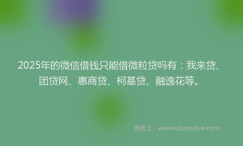 2025年的微信借钱只能借微粒贷吗有：我来贷、团贷网、惠商贷、柯基贷、融逸花等。
