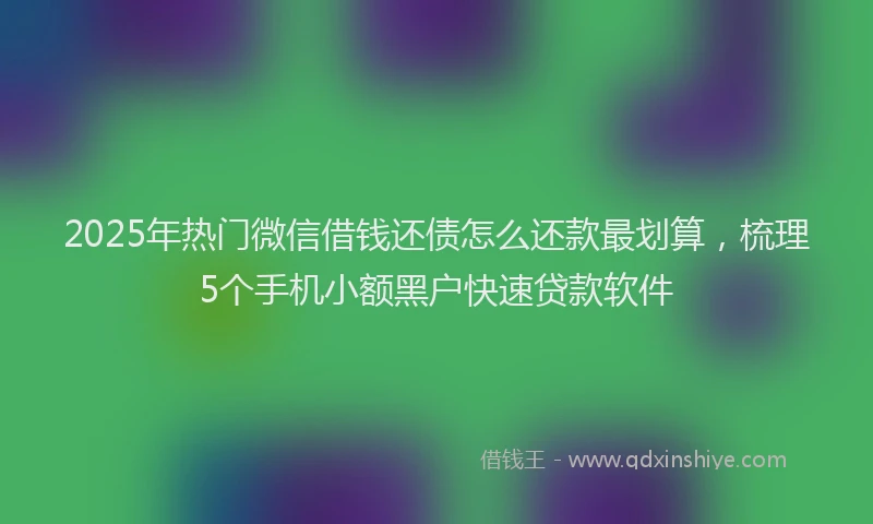 2025年热门微信借钱还债怎么还款最划算，梳理5个手机小额黑户快速贷款软件