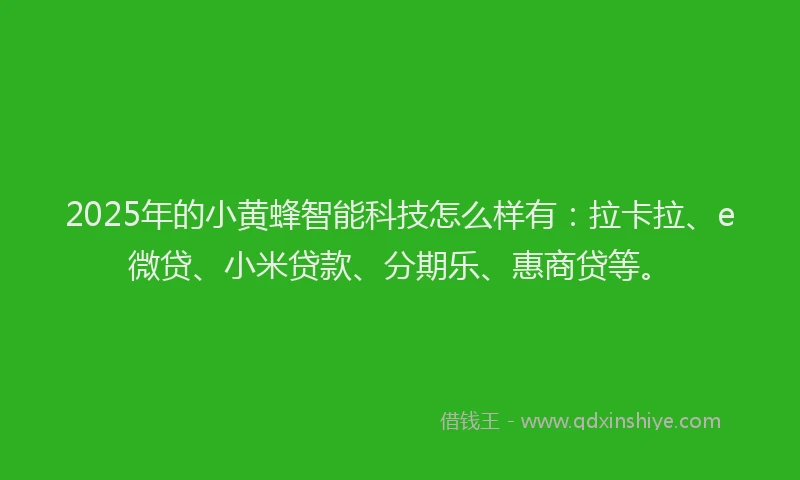 2025年的小黄蜂智能科技怎么样有：拉卡拉、e微贷、小米贷款、分期乐、惠商贷等。