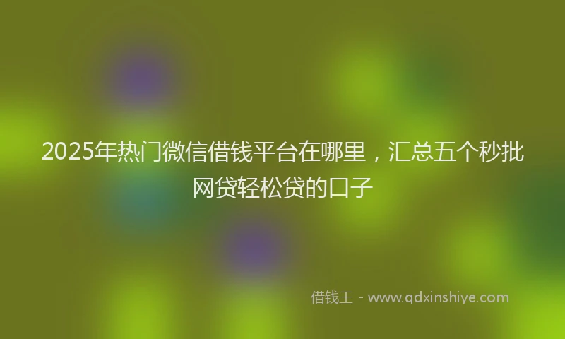 2025年热门微信借钱平台在哪里，汇总五个秒批网贷轻松贷的口子