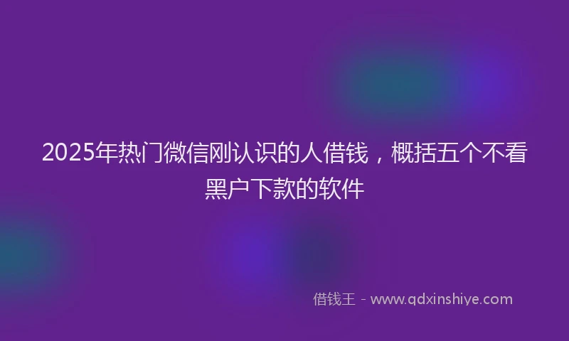 2025年热门微信刚认识的人借钱，概括五个不看黑户下款的软件