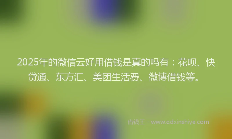 2025年的微信云好用借钱是真的吗有：花呗、快贷通、东方汇、美团生活费、微博借钱等。