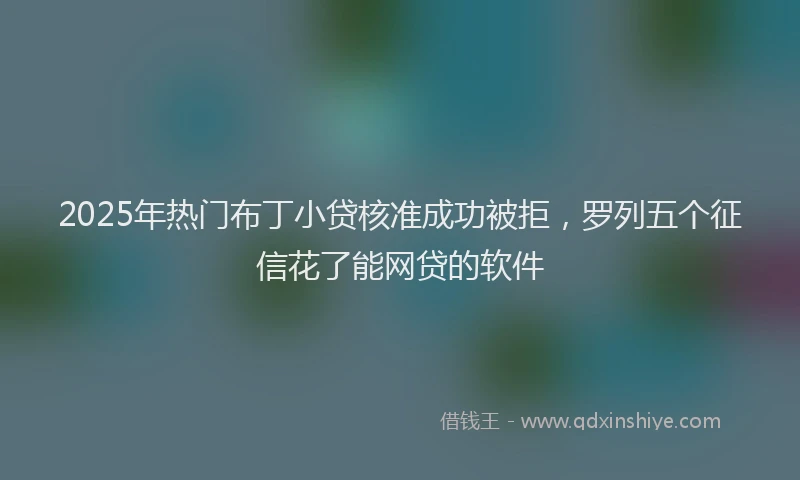 2025年热门布丁小贷核准成功被拒，罗列五个征信花了能网贷的软件