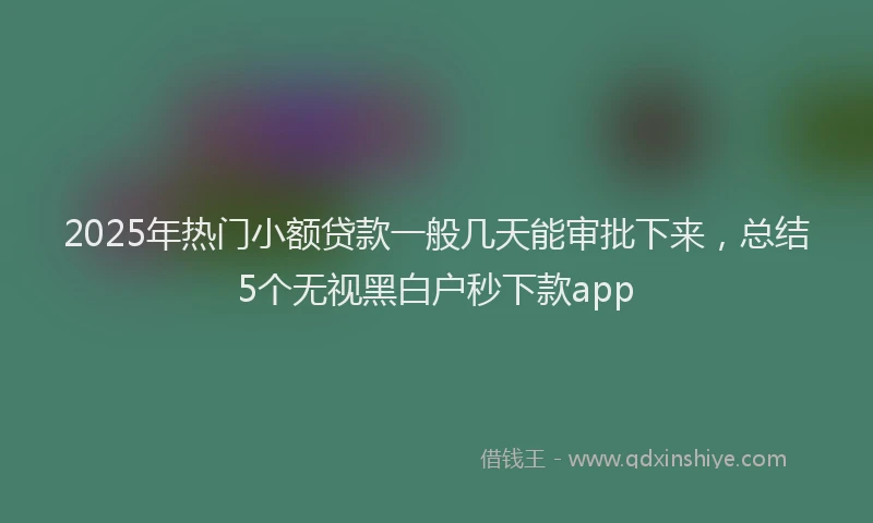 2025年热门小额贷款一般几天能审批下来，总结5个无视黑白户秒下款app