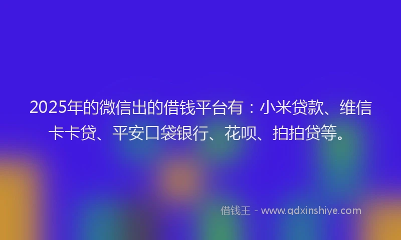 2025年的微信出的借钱平台有：小米贷款、维信卡卡贷、平安口袋银行、花呗、拍拍贷等。