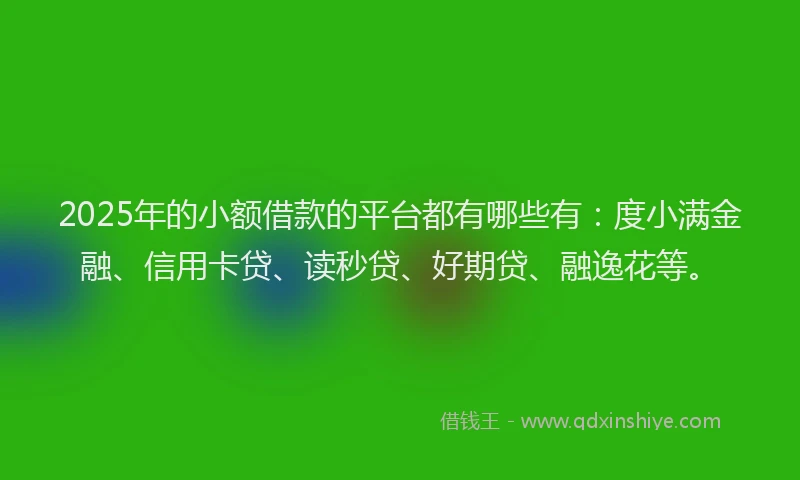 2025年的小额借款的平台都有哪些有：度小满金融、信用卡贷、读秒贷、好期贷、融逸花等。