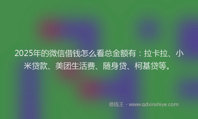 2025年的微信借钱怎么看总金额有：拉卡拉、小米贷款、美团生活费、随身贷、柯基贷等。