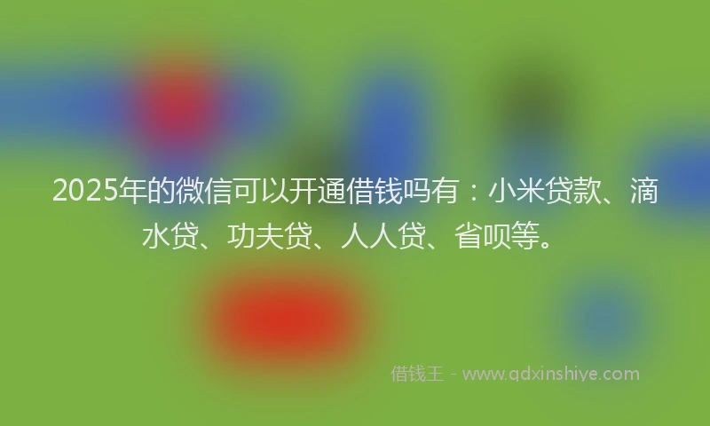 2025年的微信可以开通借钱吗有：小米贷款、滴水贷、功夫贷、人人贷、省呗等。
