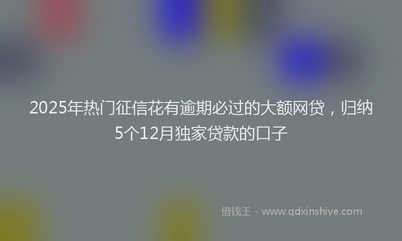 2025年热门征信花有逾期必过的大额网贷，归纳5个12月独家贷款的口子