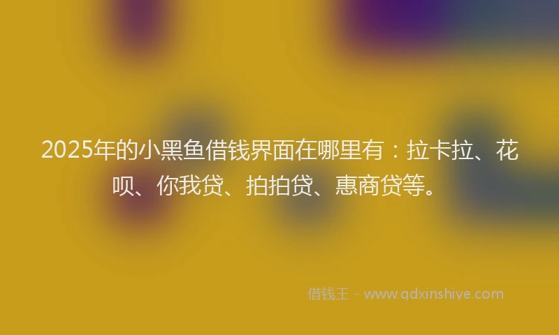 2025年的小黑鱼借钱界面在哪里有：拉卡拉、花呗、你我贷、拍拍贷、惠商贷等。