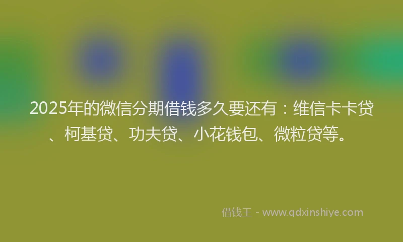 2025年的微信分期借钱多久要还有：维信卡卡贷、柯基贷、功夫贷、小花钱包、微粒贷等。