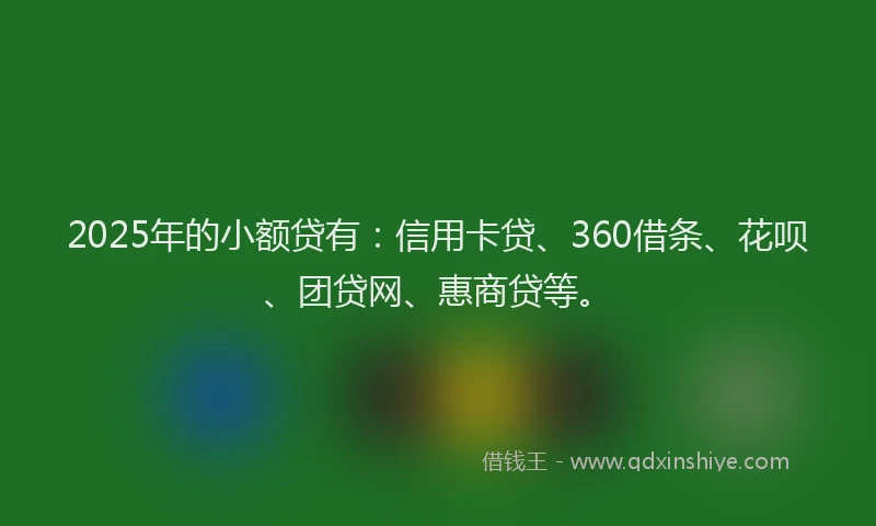 2025年的小额贷有：信用卡贷、360借条、花呗、团贷网、惠商贷等。