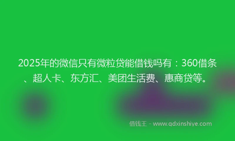 2025年的微信只有微粒贷能借钱吗有：360借条、超人卡、东方汇、美团生活费、惠商贷等。
