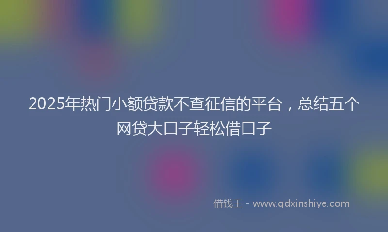 2025年热门小额贷款不查征信的平台，总结五个网贷大口子轻松借口子