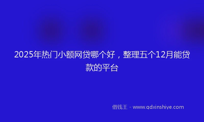 2025年热门小额网贷哪个好，整理五个12月能贷款的平台