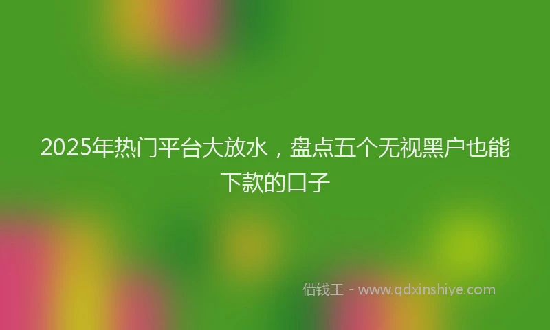 2025年热门平台大放水，盘点五个无视黑户也能下款的口子