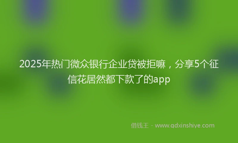 2025年热门微众银行企业贷被拒嘛，分享5个征信花居然都下款了的app