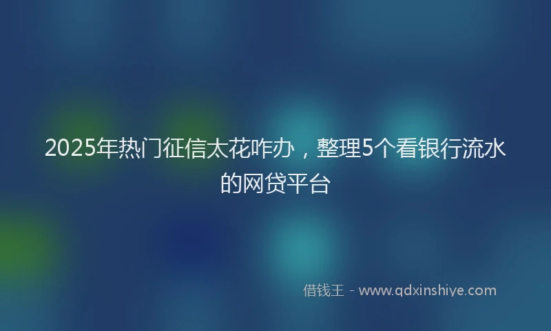 2025年热门征信太花咋办，整理5个看银行流水的网贷平台