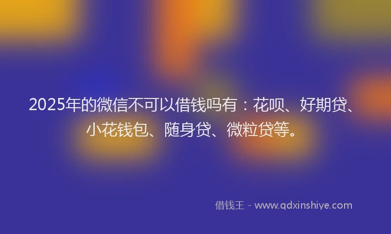 2025年的微信不可以借钱吗有：花呗、好期贷、小花钱包、随身贷、微粒贷等。