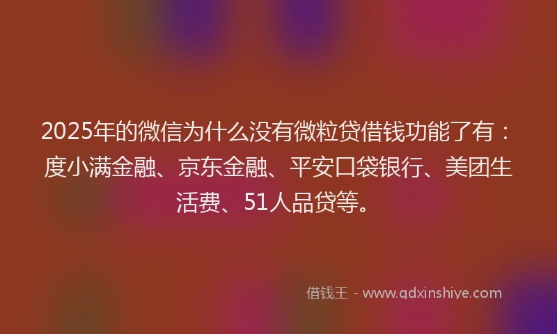 2025年的微信为什么没有微粒贷借钱功能了有：度小满金融、京东金融、平安口袋银行、美团生活费、51人品贷等。