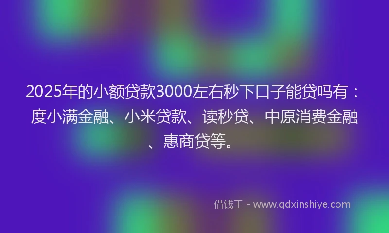 2025年的小额贷款3000左右秒下口子能贷吗有：度小满金融、小米贷款、读秒贷、中原消费金融、惠商贷等。