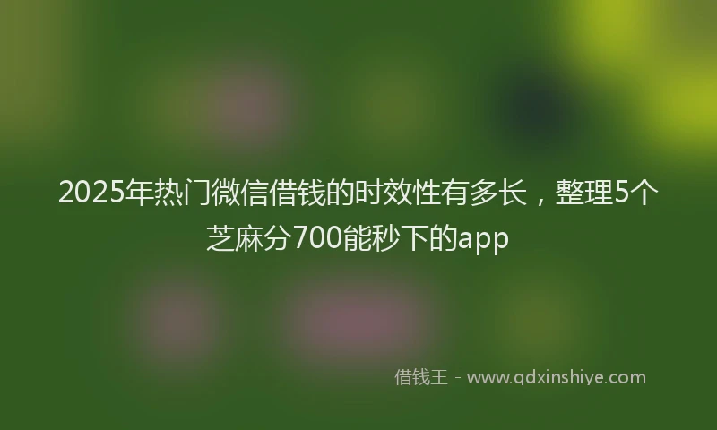 2025年热门微信借钱的时效性有多长，整理5个芝麻分700能秒下的app