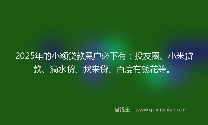 2025年的小额贷款黑户必下有：投友圈、小米贷款、滴水贷、我来贷、百度有钱花等。