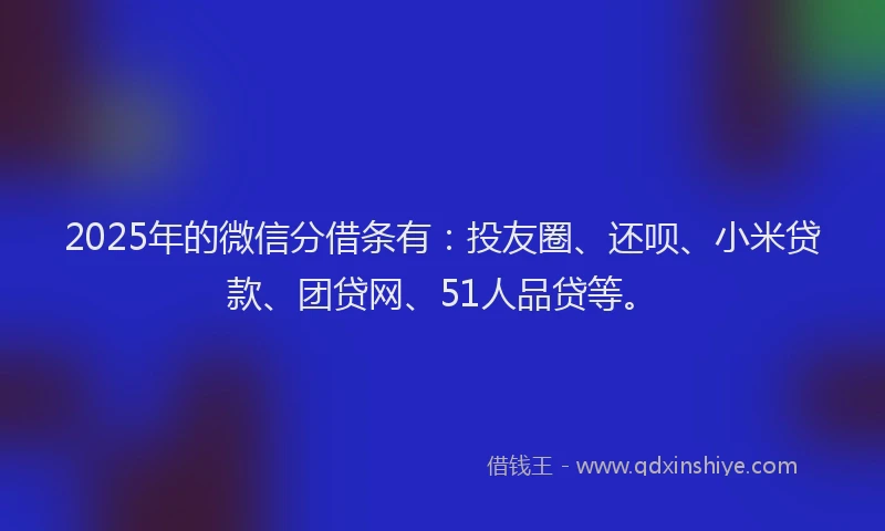 2025年的微信分借条有：投友圈、还呗、小米贷款、团贷网、51人品贷等。