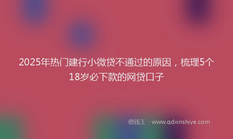 2025年热门建行小微贷不通过的原因，梳理5个18岁必下款的网贷口子