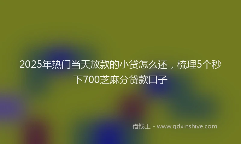 2025年热门当天放款的小贷怎么还，梳理5个秒下700芝麻分贷款口子