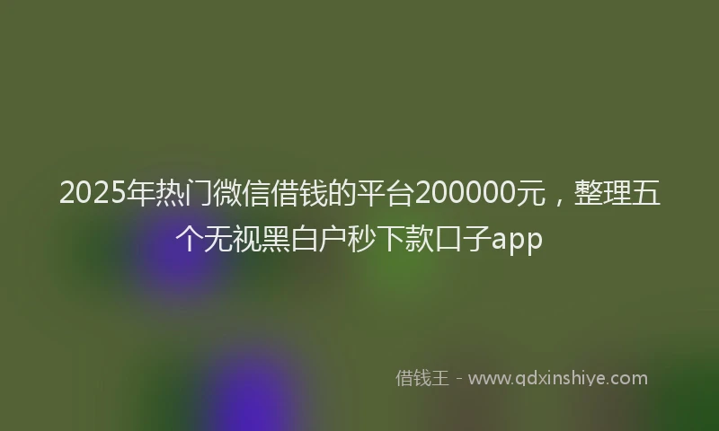 2025年热门微信借钱的平台200000元，整理五个无视黑白户秒下款口子app