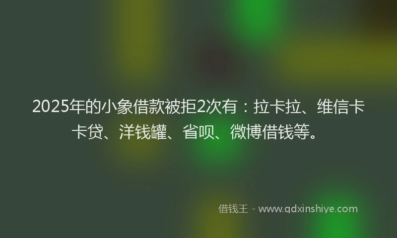 2025年的小象借款被拒2次有：拉卡拉、维信卡卡贷、洋钱罐、省呗、微博借钱等。