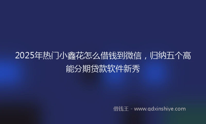 2025年热门小鑫花怎么借钱到微信，归纳五个高能分期贷款软件新秀