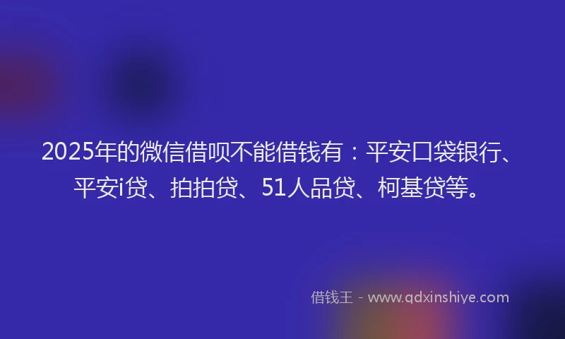 2025年的微信借呗不能借钱有：平安口袋银行、平安i贷、拍拍贷、51人品贷、柯基贷等。