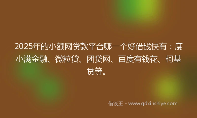 2025年的小额网贷款平台哪一个好借钱快有：度小满金融、微粒贷、团贷网、百度有钱花、柯基贷等。
