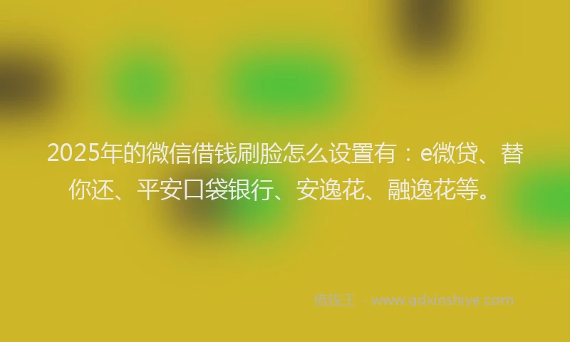 2025年的微信借钱刷脸怎么设置有：e微贷、替你还、平安口袋银行、安逸花、融逸花等。