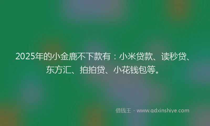 2025年的小金鹿不下款有：小米贷款、读秒贷、东方汇、拍拍贷、小花钱包等。