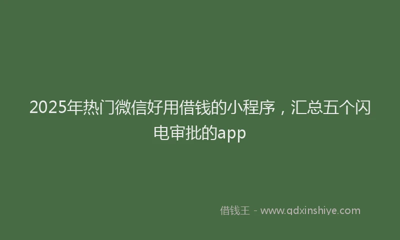 2025年热门微信好用借钱的小程序，汇总五个闪电审批的app