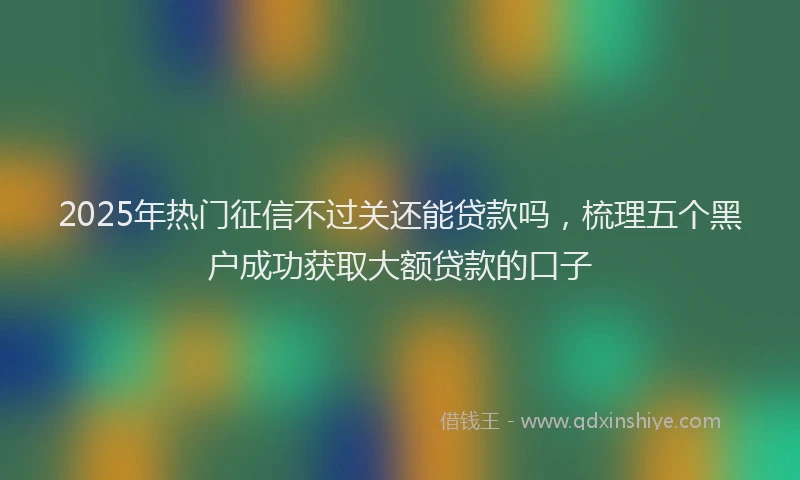 2025年热门征信不过关还能贷款吗，梳理五个黑户成功获取大额贷款的口子
