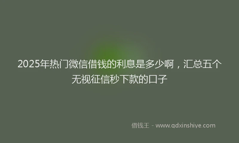 2025年热门微信借钱的利息是多少啊，汇总五个无视征信秒下款的口子
