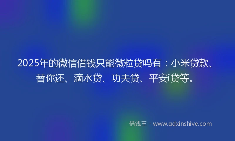 2025年的微信借钱只能微粒贷吗有：小米贷款、替你还、滴水贷、功夫贷、平安i贷等。