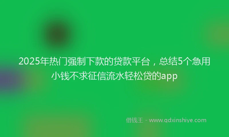 2025年热门强制下款的贷款平台，总结5个急用小钱不求征信流水轻松贷的app