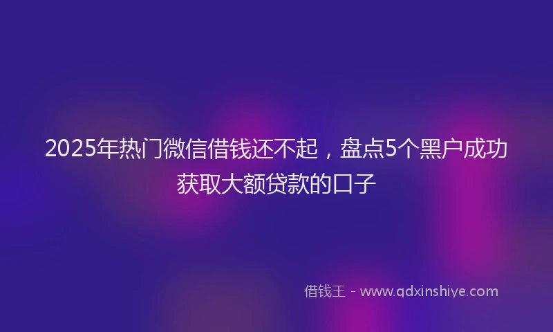 2025年热门微信借钱还不起，盘点5个黑户成功获取大额贷款的口子
