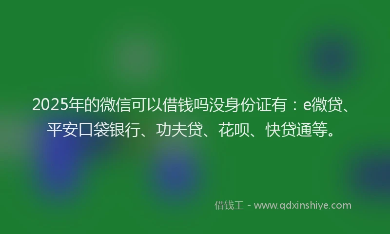 2025年的微信可以借钱吗没身份证有：e微贷、平安口袋银行、功夫贷、花呗、快贷通等。