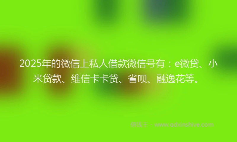 2025年的微信上私人借款微信号有：e微贷、小米贷款、维信卡卡贷、省呗、融逸花等。