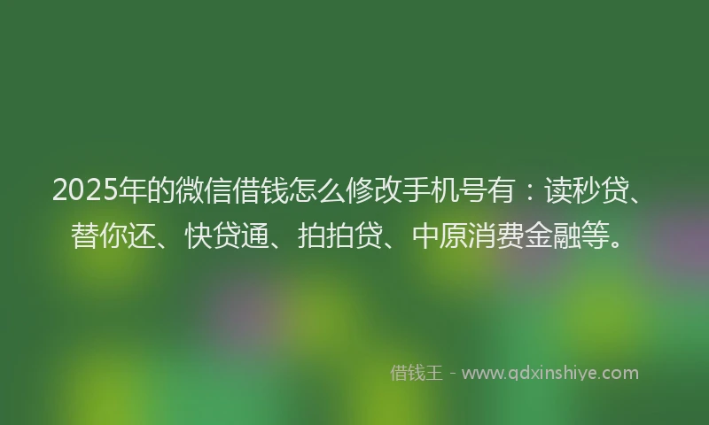 2025年的微信借钱怎么修改手机号有：读秒贷、替你还、快贷通、拍拍贷、中原消费金融等。