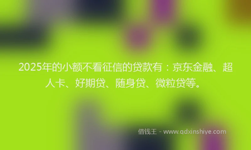 2025年的小额不看征信的贷款有：京东金融、超人卡、好期贷、随身贷、微粒贷等。